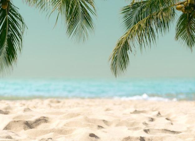 Amazing Beach Apartment كولرا المظهر الخارجي الصورة
